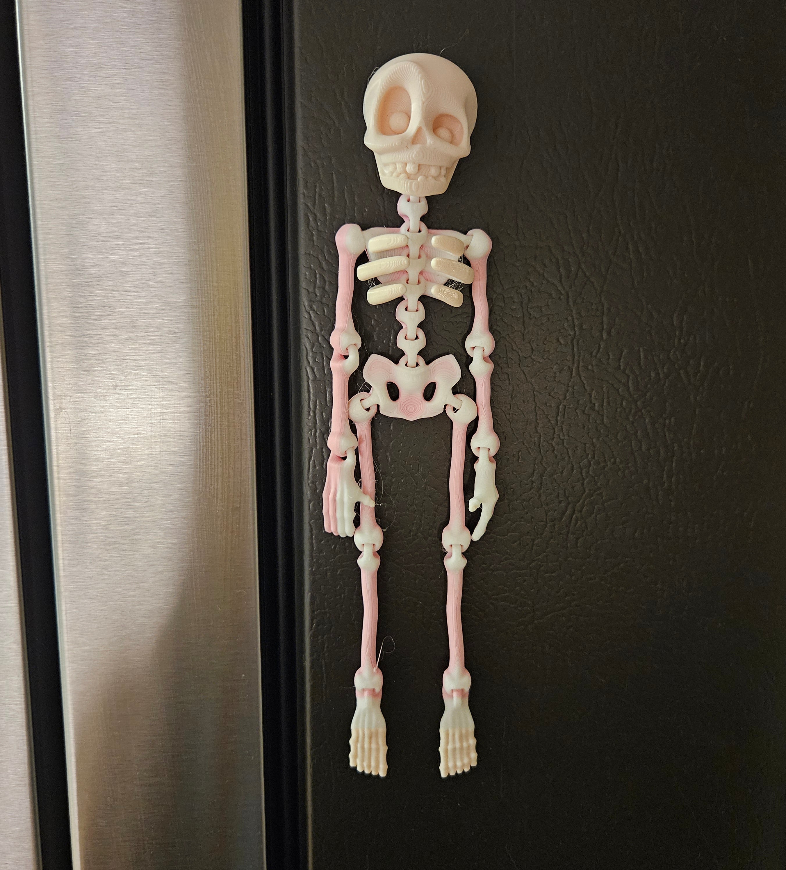 MAGNETIC SKELETON- 3D PRINTED- VARIETY OF COLORS-Stay Foxy Boutique, Florissant, Missouri