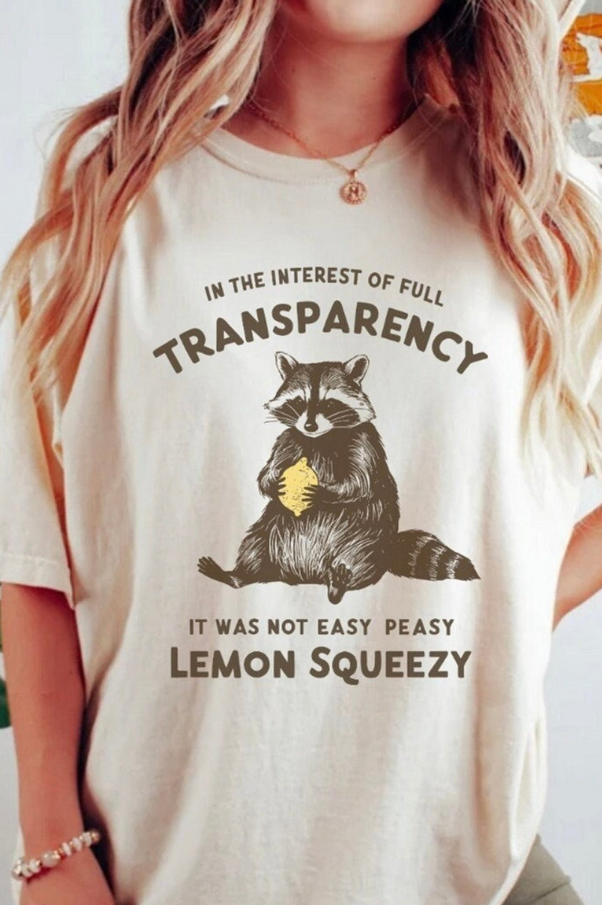 Transparency Graphic T-Graphic T-Stay Foxy Boutique, Florissant, Missouri