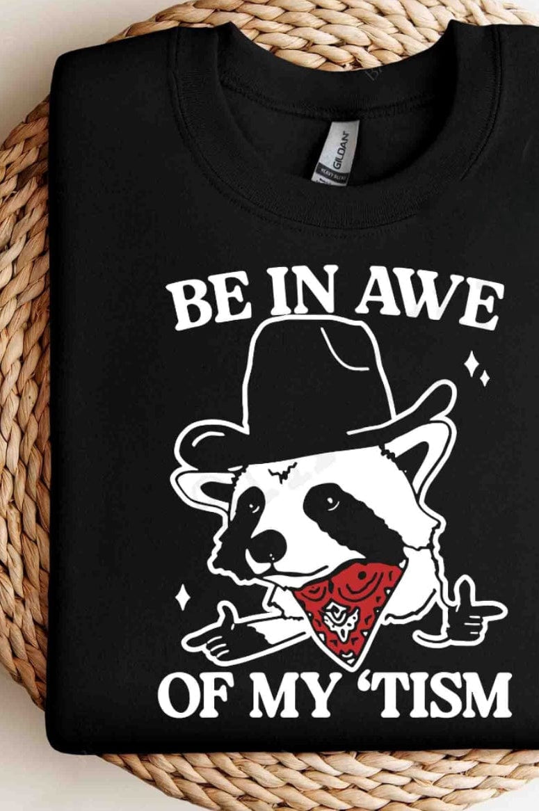 Awe Graphic T-Graphic T-Stay Foxy Boutique, Florissant, Missouri