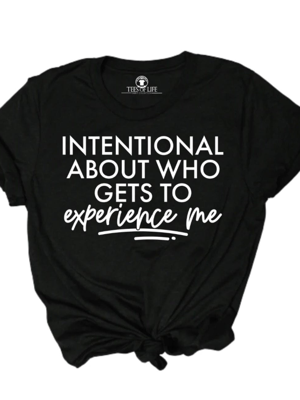 Intentional Graphic T-Graphic T-Stay Foxy Boutique, Florissant, Missouri