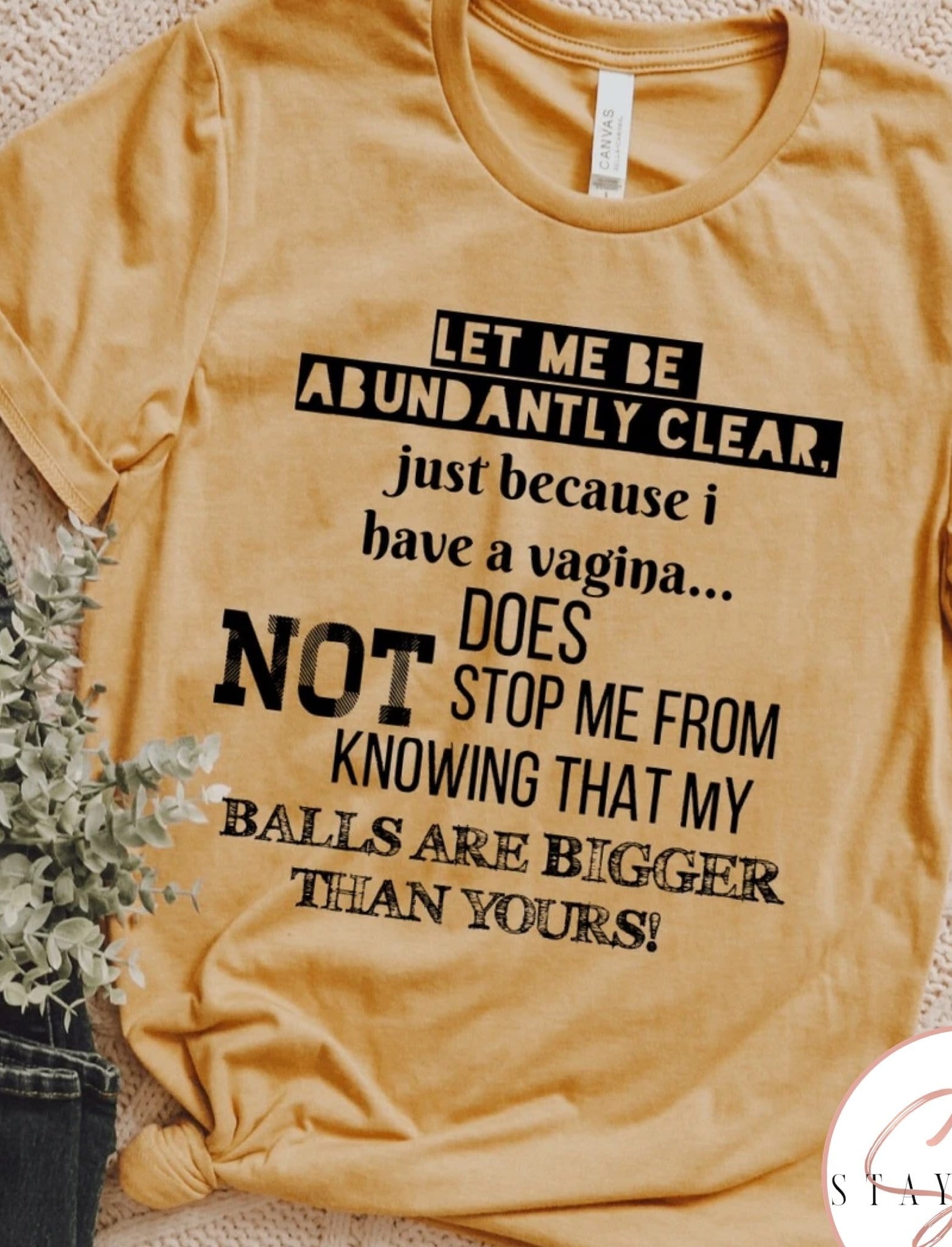 Let Me Be Abundantly Clear Graphic T-Graphic T-Stay Foxy Boutique, Florissant, Missouri