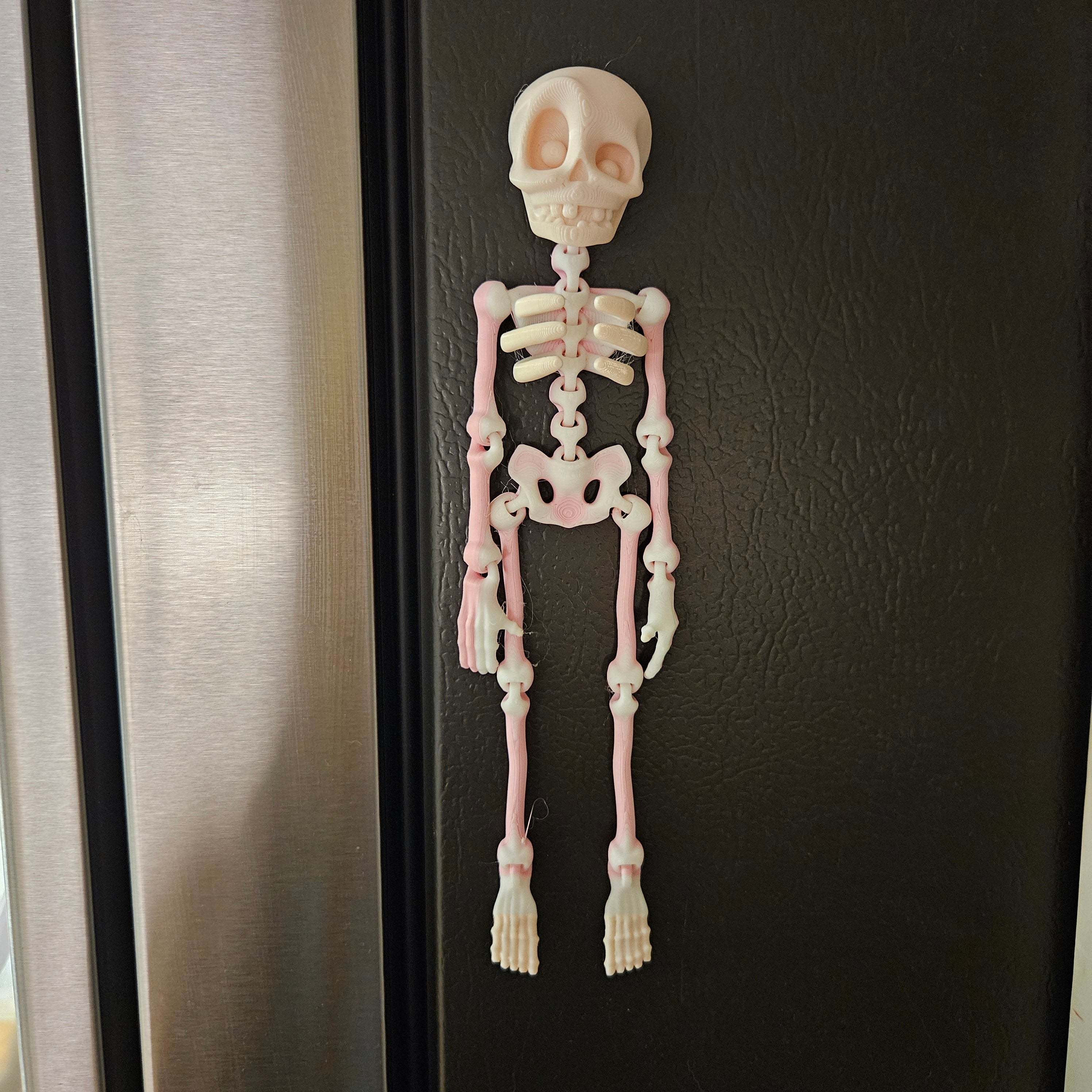 MAGNETIC SKELETON- 3D PRINTED- VARIETY OF COLORS-Stay Foxy Boutique, Florissant, Missouri