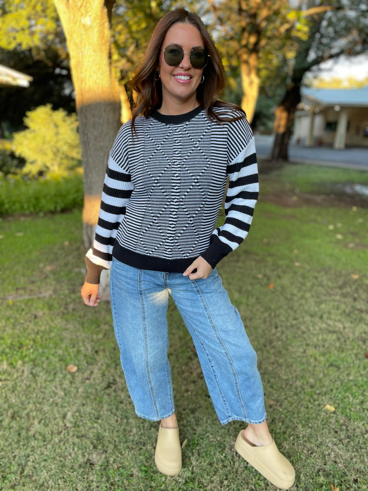 Aspen Striped Sleeve Sweater in Four Colors-Womens-Stay Foxy Boutique, Florissant, Missouri