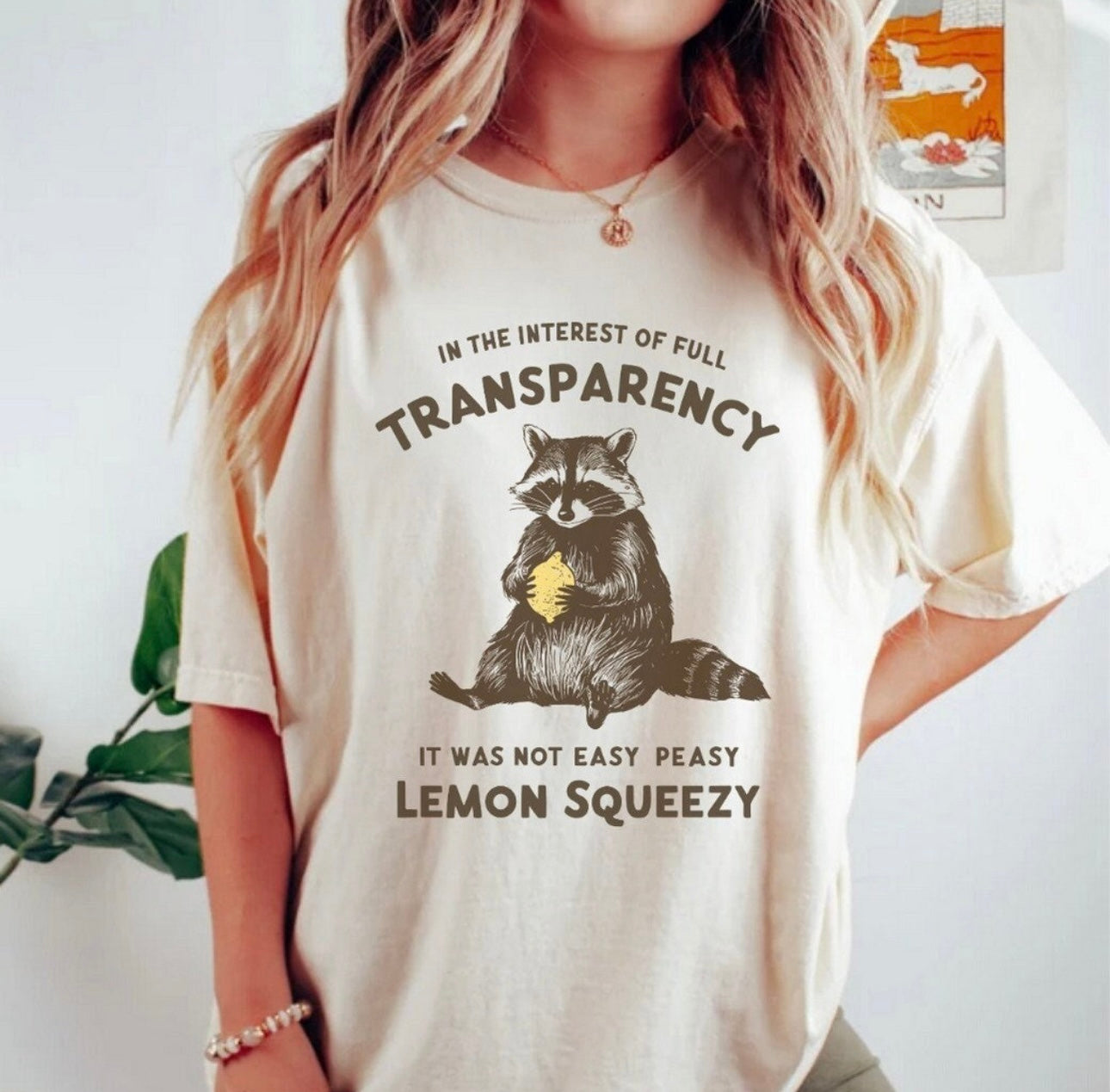 Transparency Graphic T-Graphic T-Stay Foxy Boutique, Florissant, Missouri