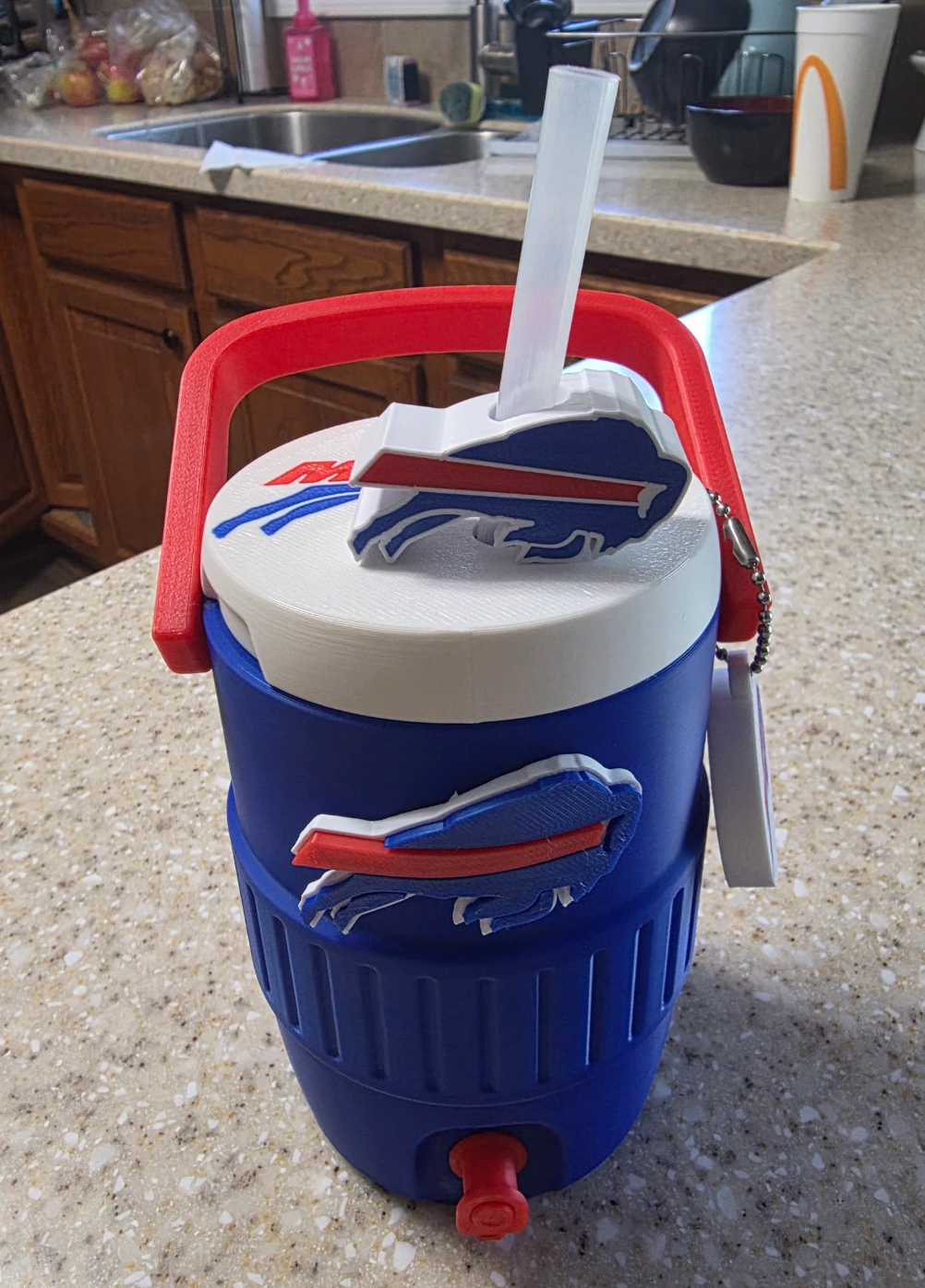 FOOTBALL FAV TEAMS-3D PRINTED CUSTOM 12 OUNCE CAN HOLDERS-Stay Foxy Boutique, Florissant, Missouri