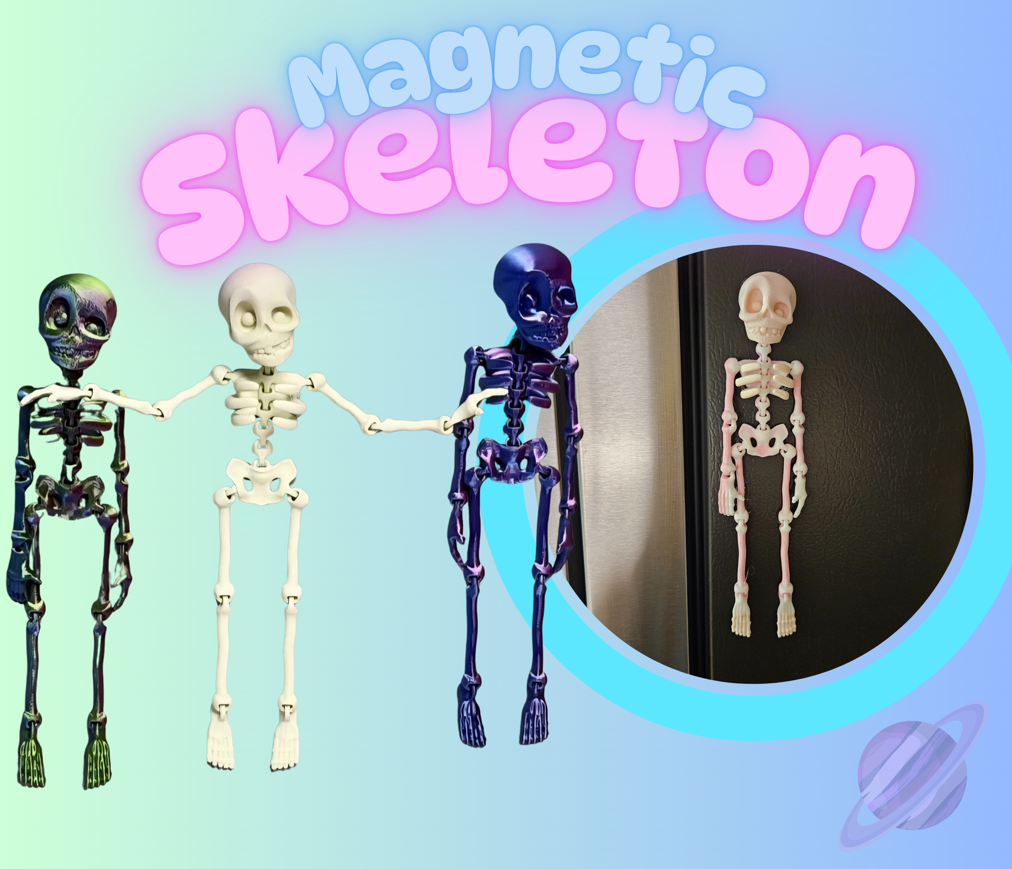 MAGNETIC SKELETON- 3D PRINTED- VARIETY OF COLORS-Stay Foxy Boutique, Florissant, Missouri