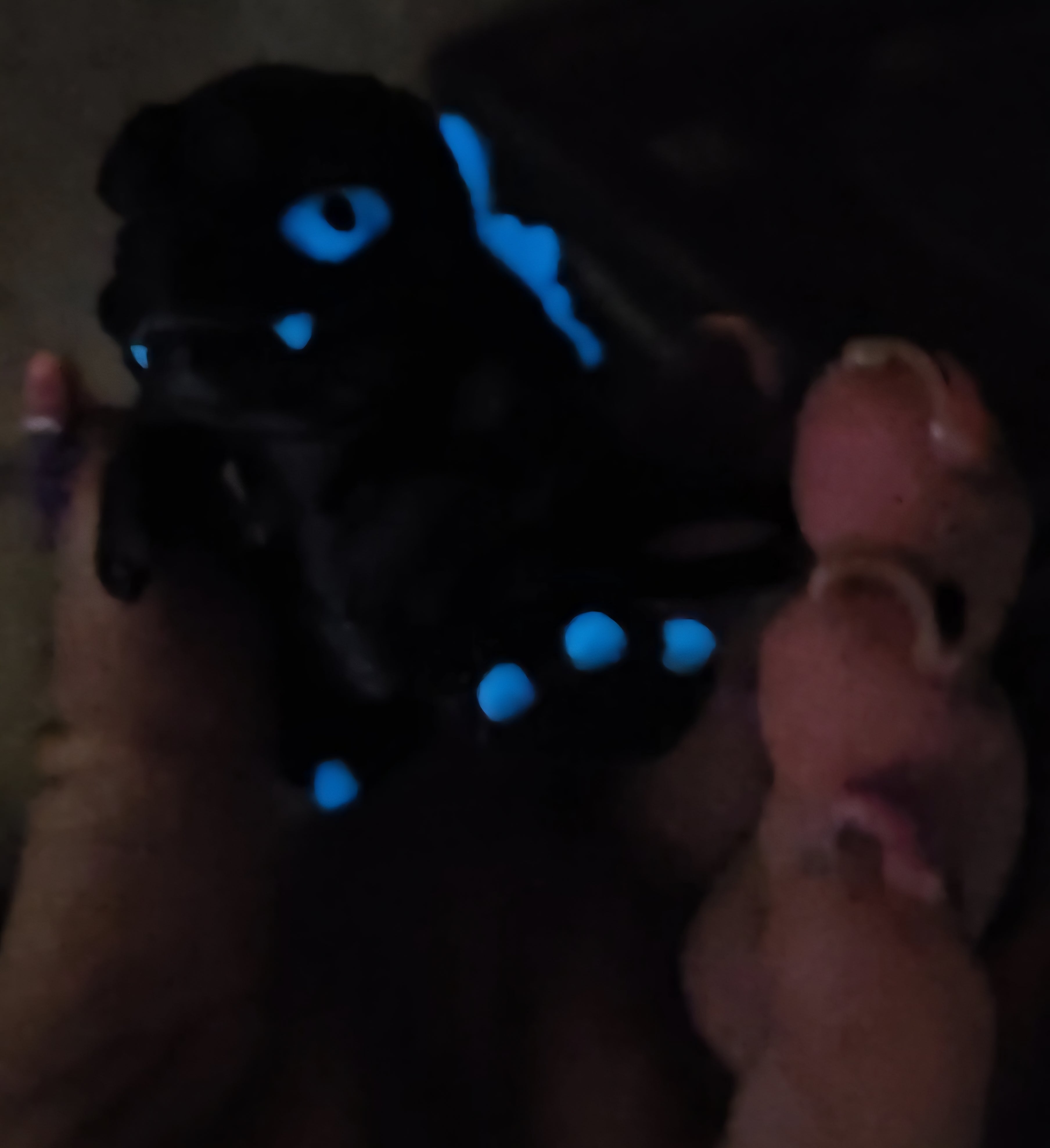 MONSTER KING-3D PRINTED STRAW BUDDY-GLOW IN THE DARK-Stay Foxy Boutique, Florissant, Missouri