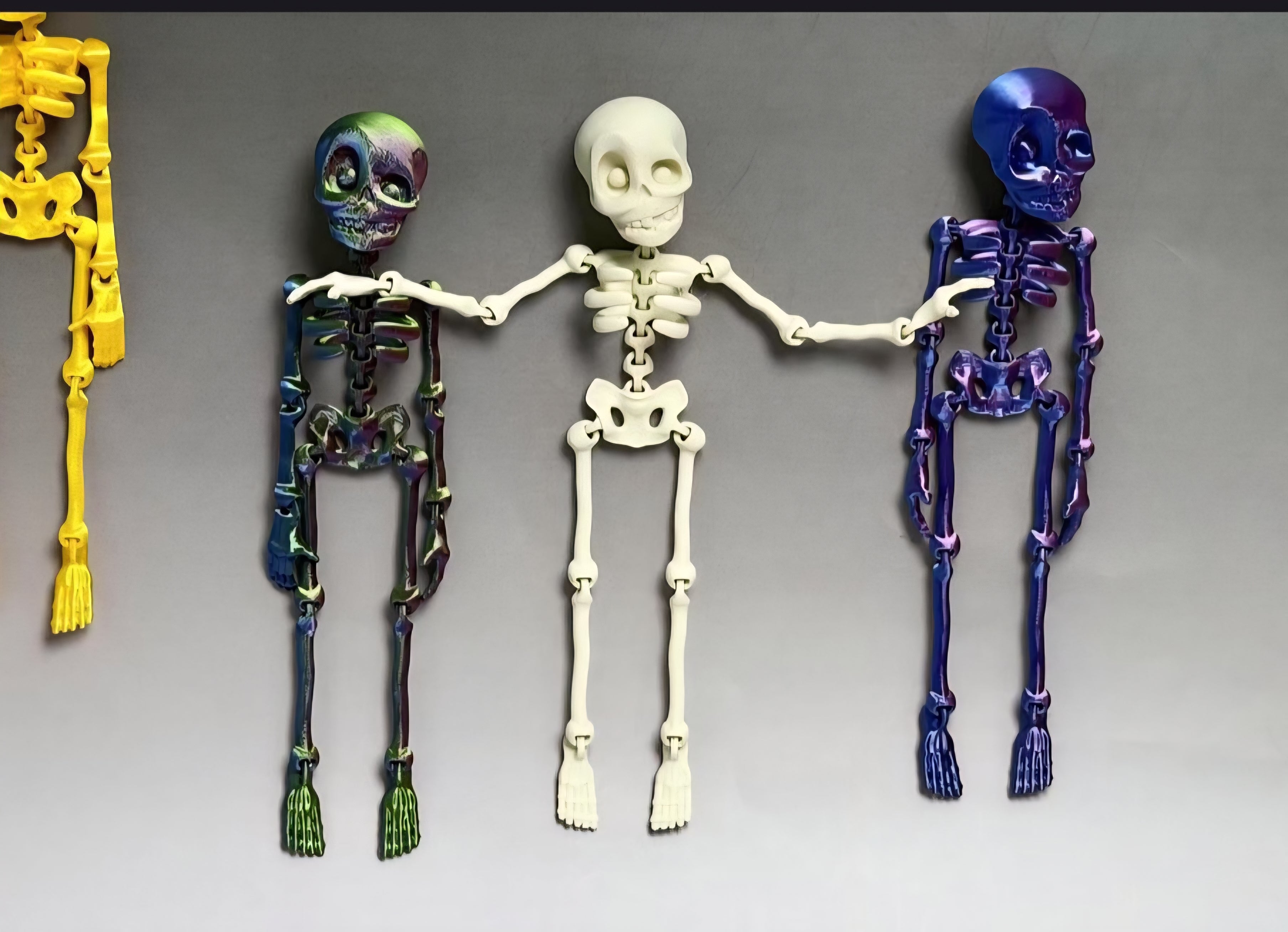 MAGNETIC SKELETON- 3D PRINTED- VARIETY OF COLORS-Stay Foxy Boutique, Florissant, Missouri