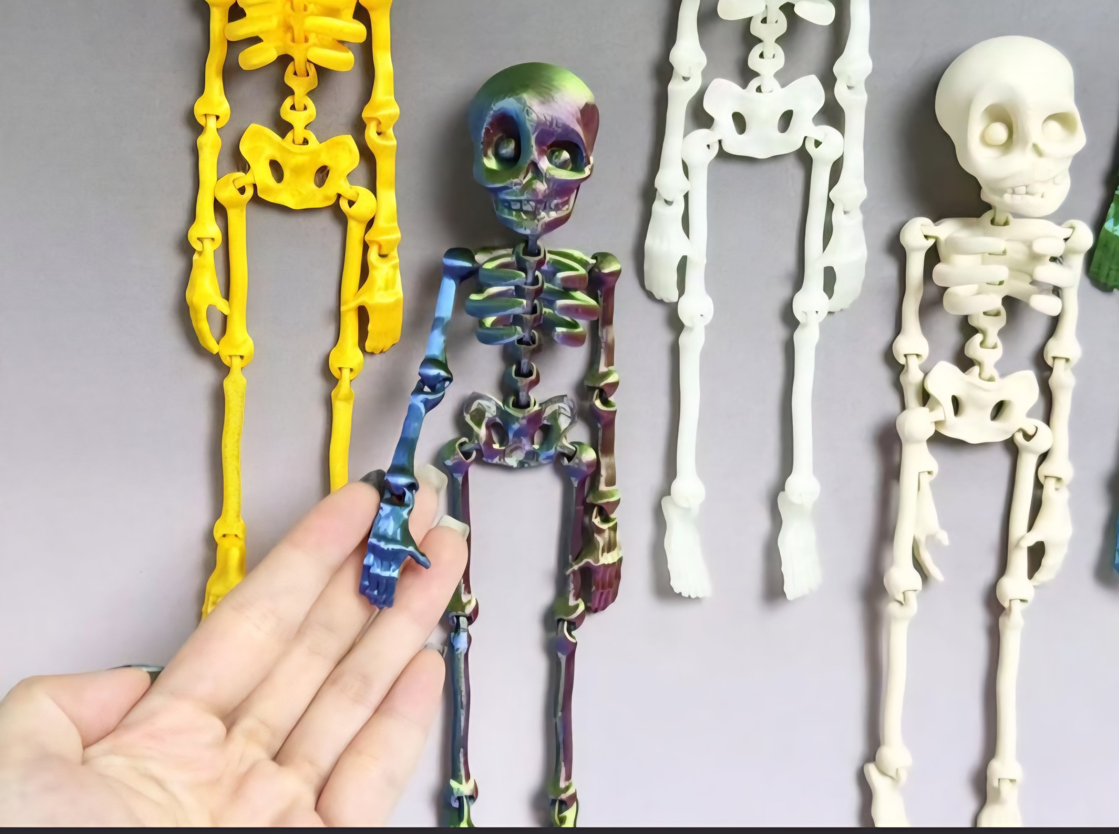 MAGNETIC SKELETON- 3D PRINTED- VARIETY OF COLORS-Stay Foxy Boutique, Florissant, Missouri