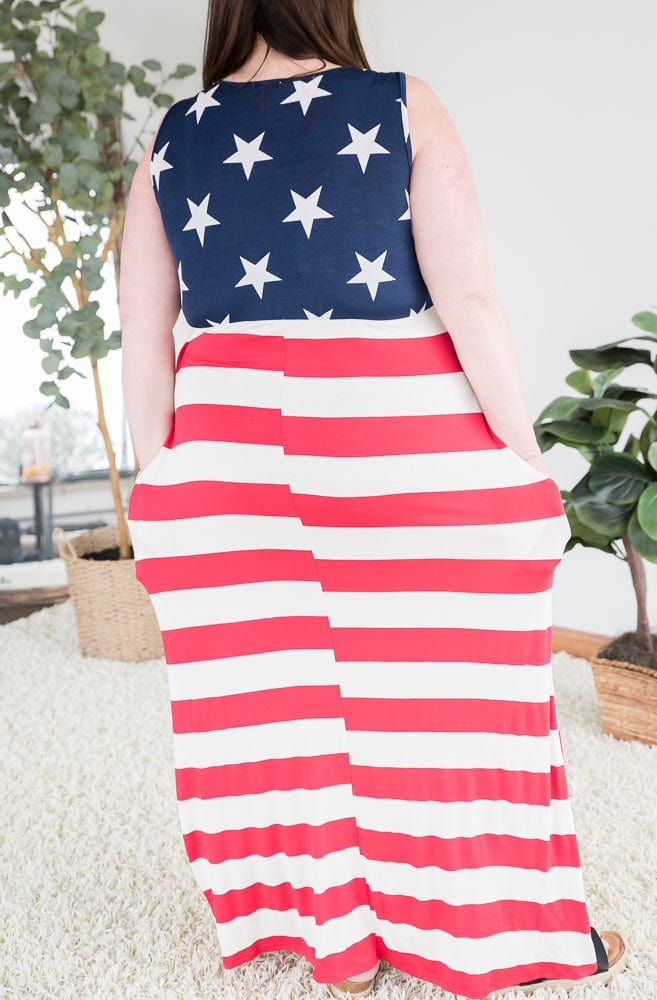 Stars and Stripes Dress-Heimish-Stay Foxy Boutique, Florissant, Missouri